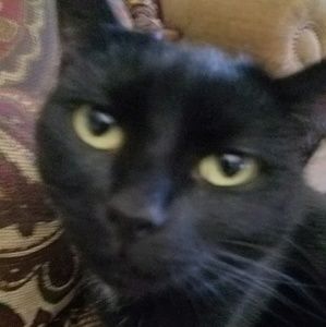 Meet your Posher, Chastity